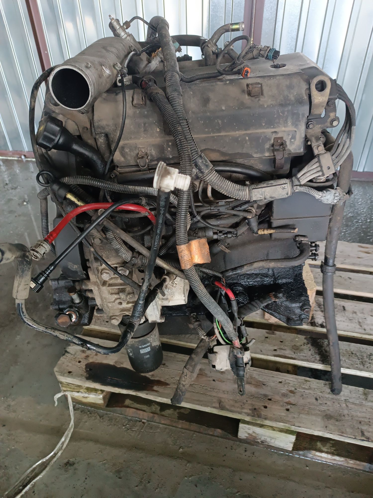 Silnik kompletny 8140.43n Iveco daily III 65c15 2.8hpi 146km turbo