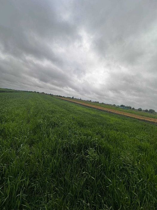 Продаж землі Зубра Лесі Українки 20соток