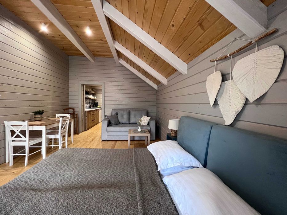 відпочинок в Карпатах НОВІ СКАНДИНАВСЬКІ АПАРТАМЕНТИ біля річки та ГІР