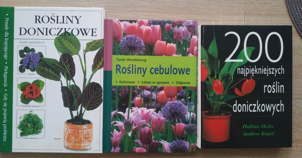 Pielęgnowanie roślin pokojowych. Rośliny doniczkowe. Kwiaty w domu