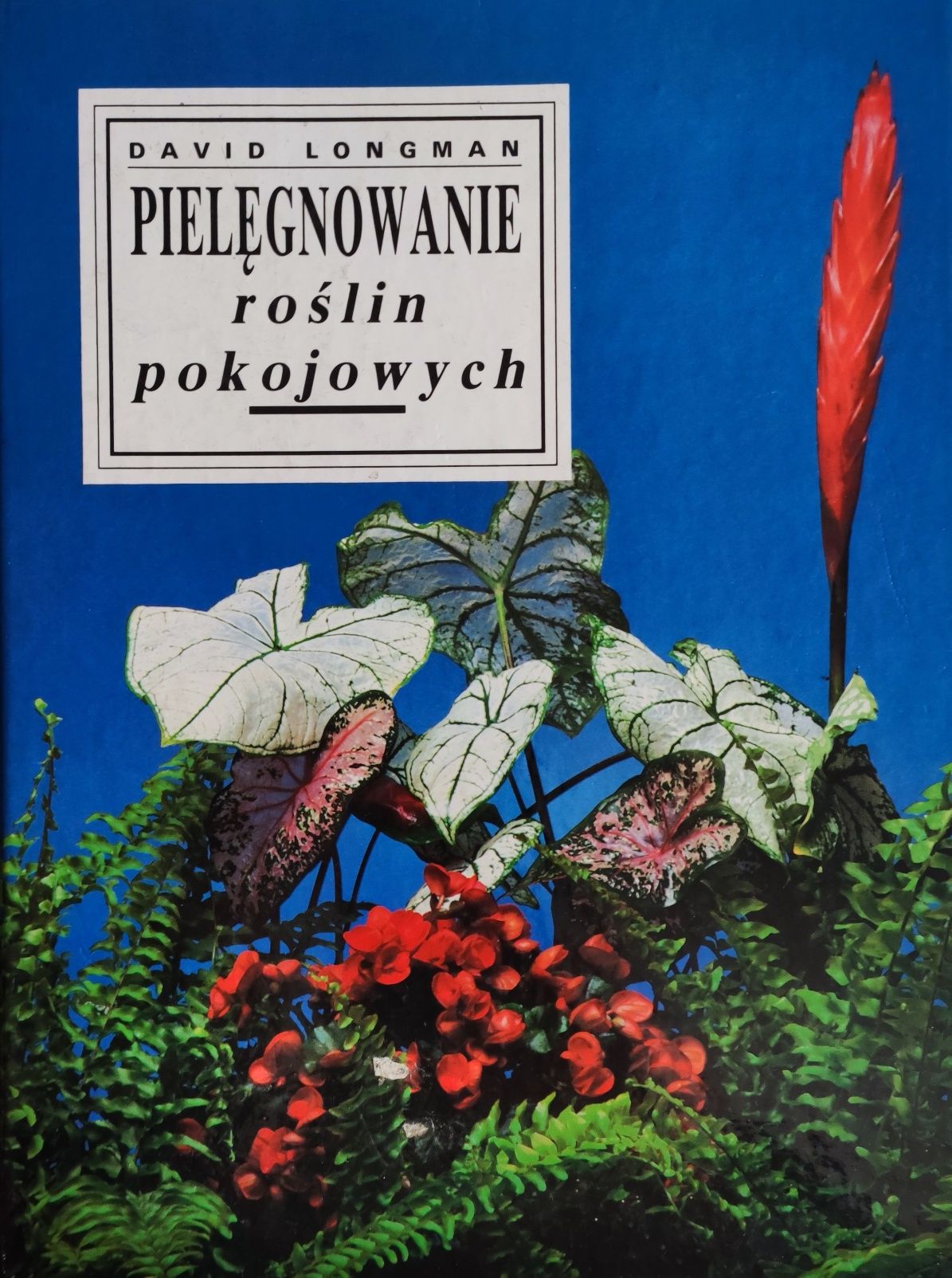 Książka "Pielęgnowanie roślin pokojowych" David Longman