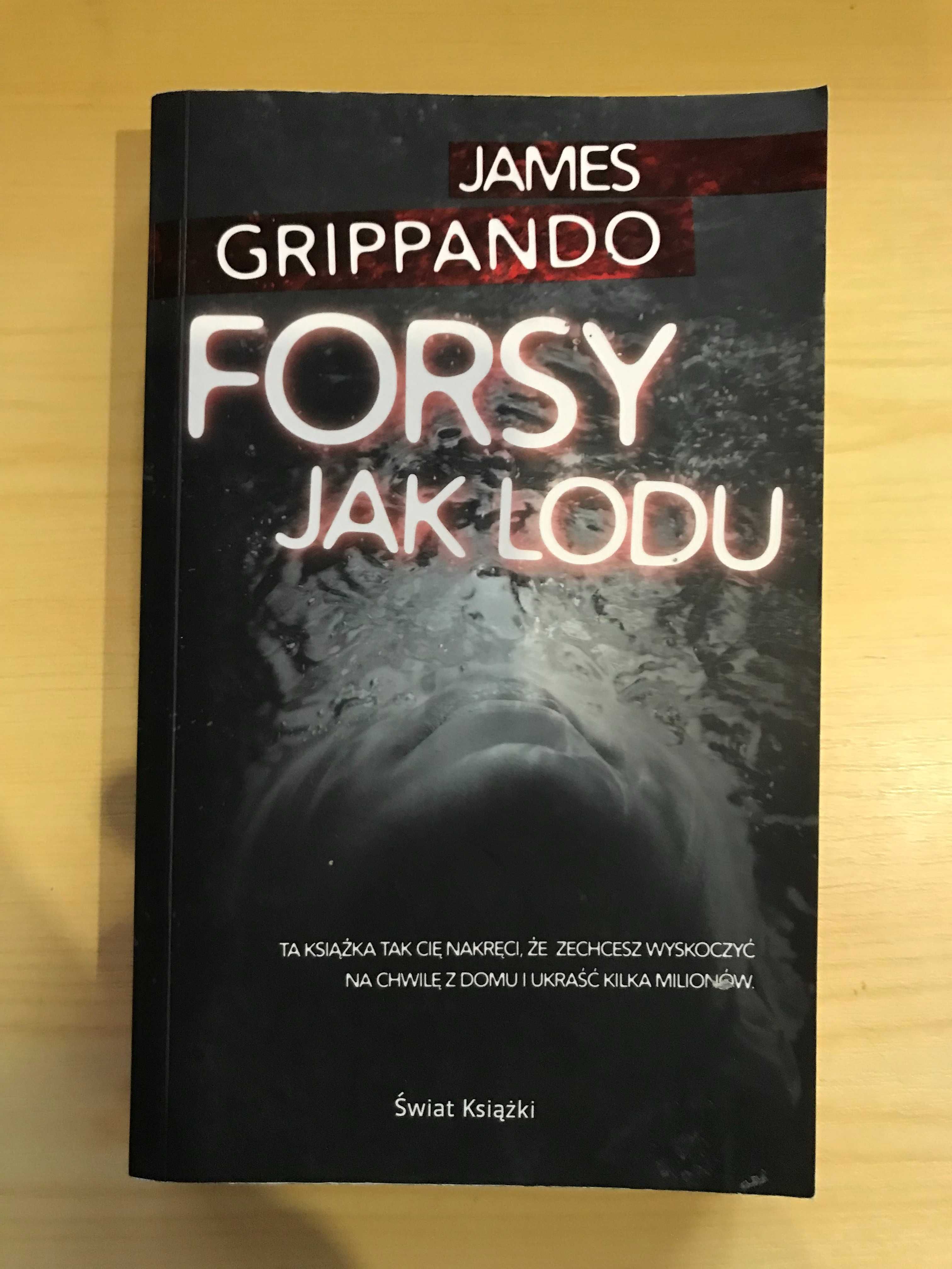 Forsy jak lodu James Grippando