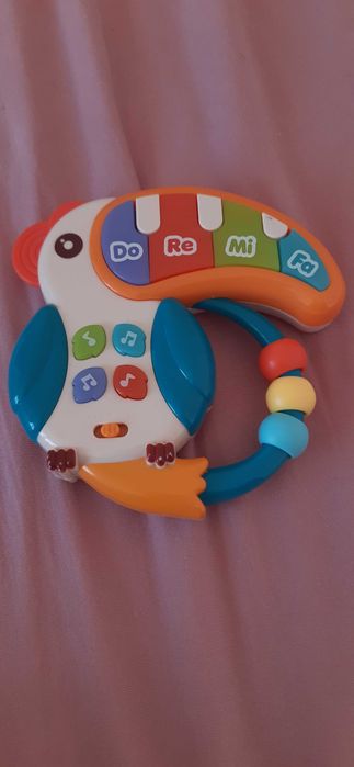 Papuga grająca - pierwsze organki