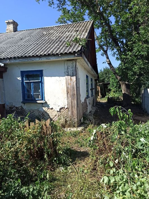 Пів будинку та прибудинкова ділянка