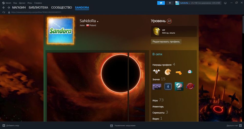 Аккаунт в стім 73 гри