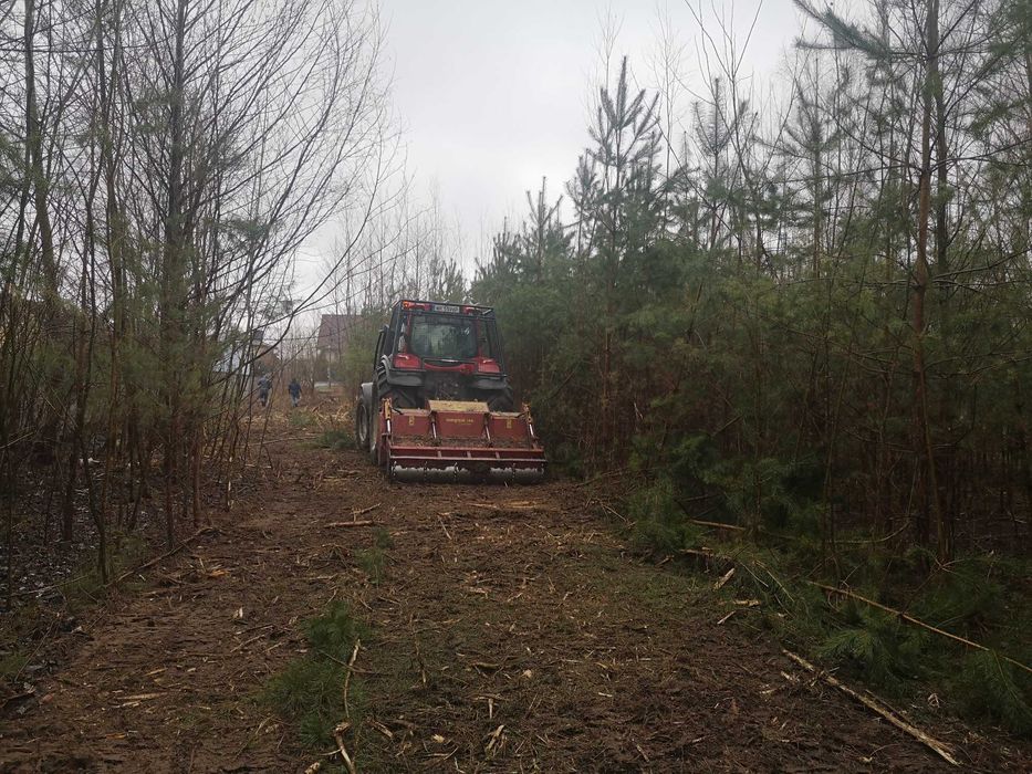 Koszenie zarośli, wycinka drzew, mulczowanie, usuwanie karp