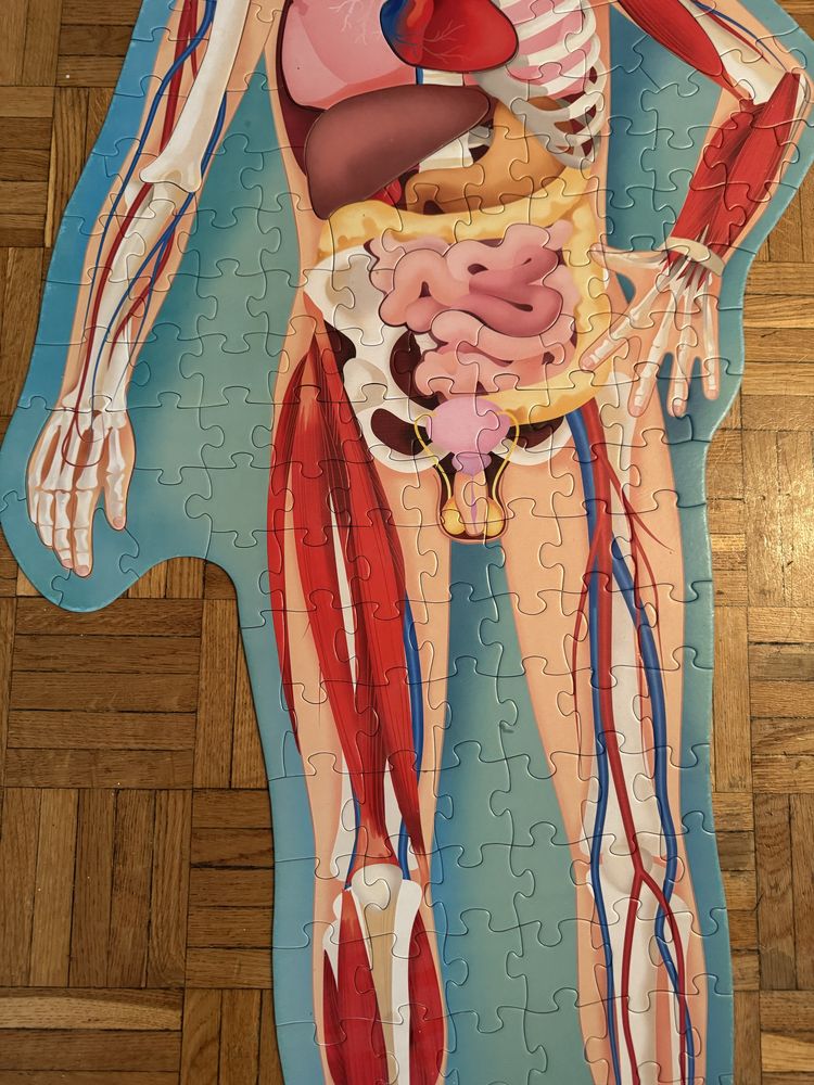 Puzzle cialo czlowieka 200 elementów