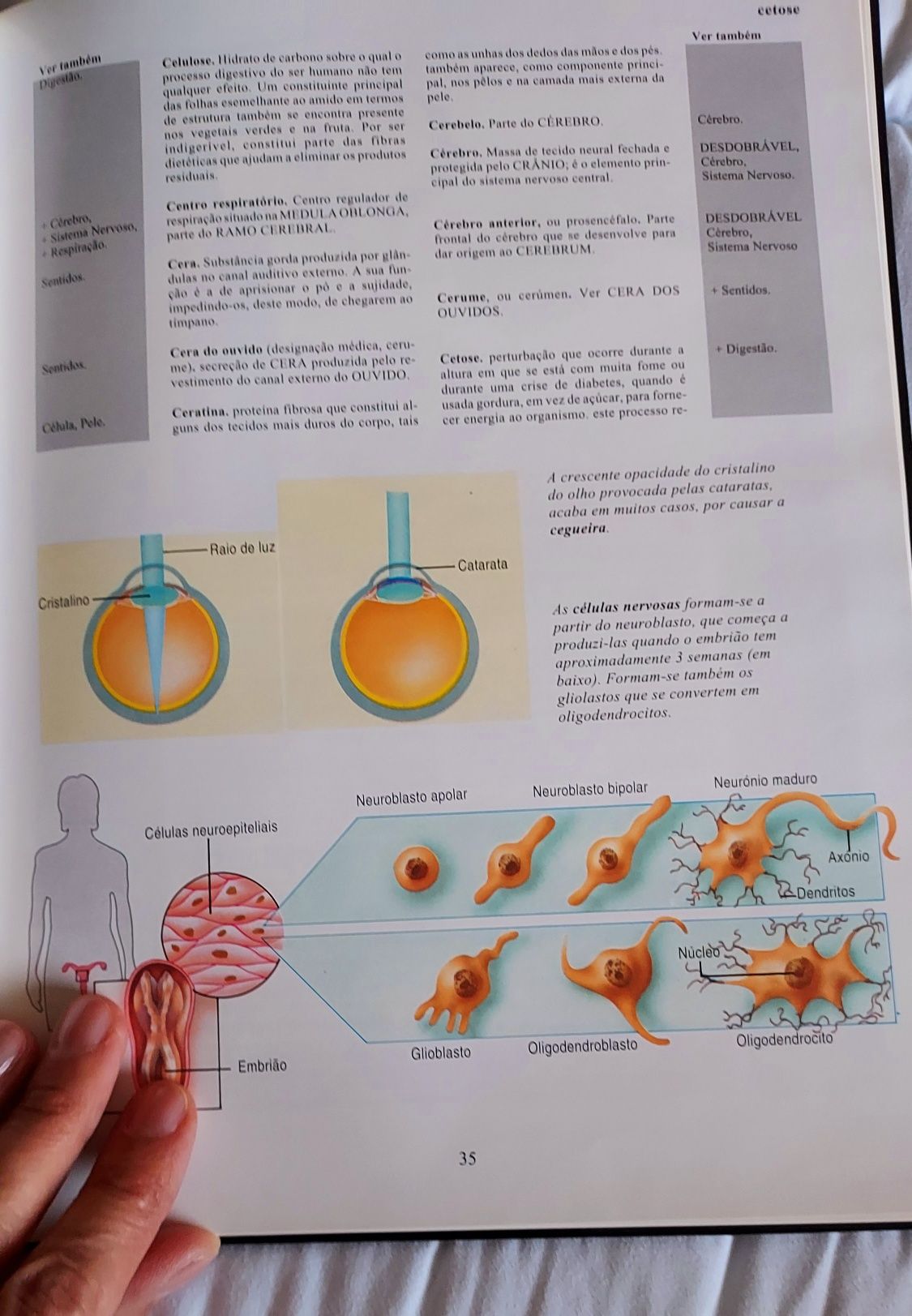 Coleção "O corpo humano"