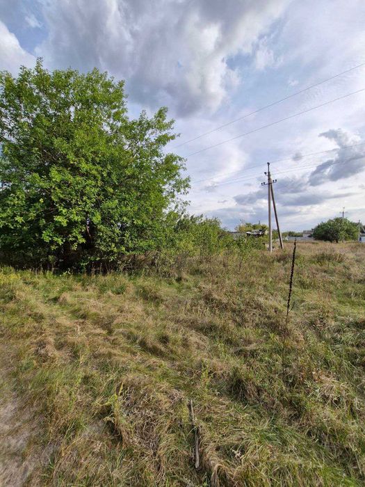 Продаж ділянки біля Кременчука, траса + сосновий ліс