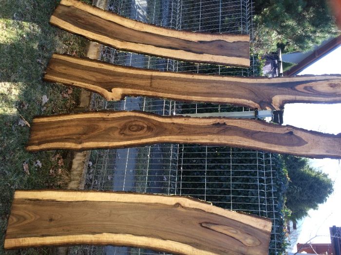 Suche foszty orzech włoski / Plastry / Żywica / Monolity /Tarcia/Deski