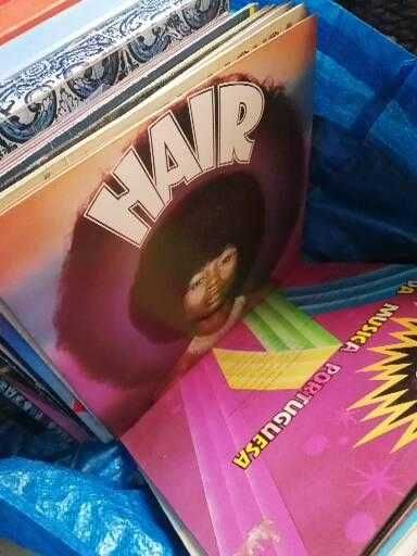 Discos vinil  música variada