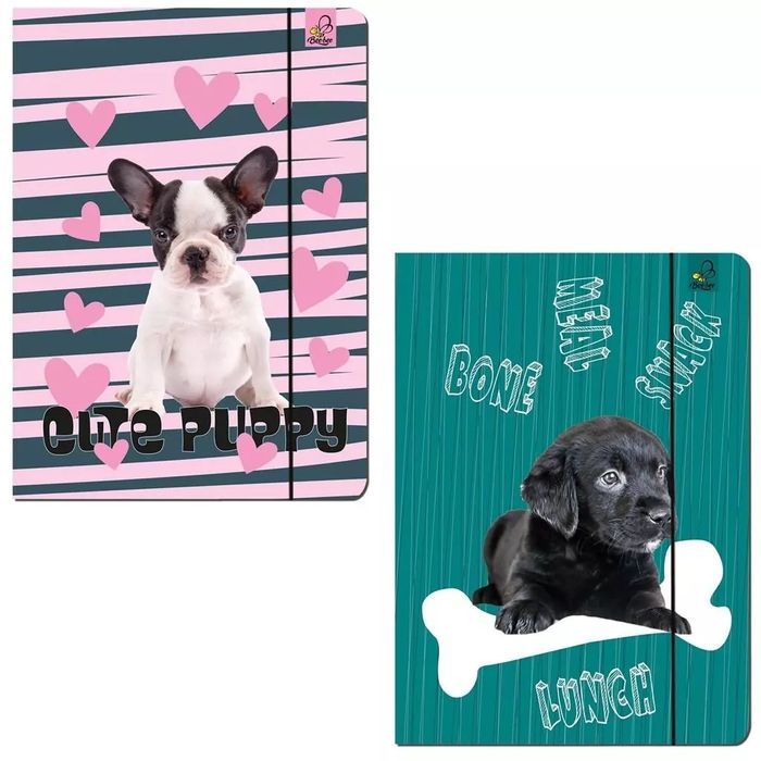 Teczka A4 z gumką Best Friend Psy. Bee-bee