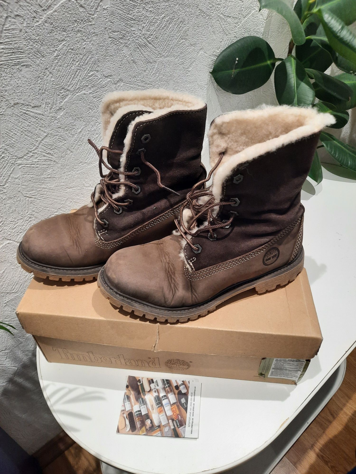 Зимние Ботинки Timberland