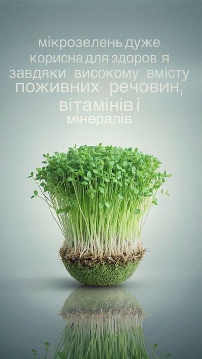 Микрозелень СВЕЖИЙ ГОРОХ 50 грн лоток