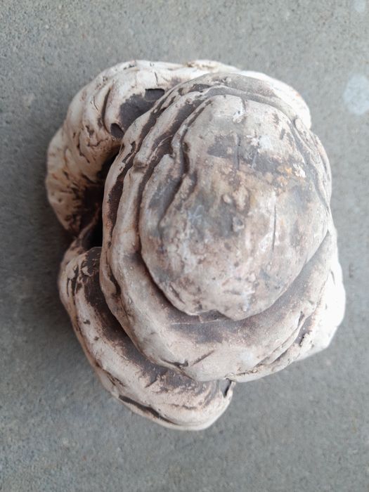 Jaskinia ceramiczna do terrarium