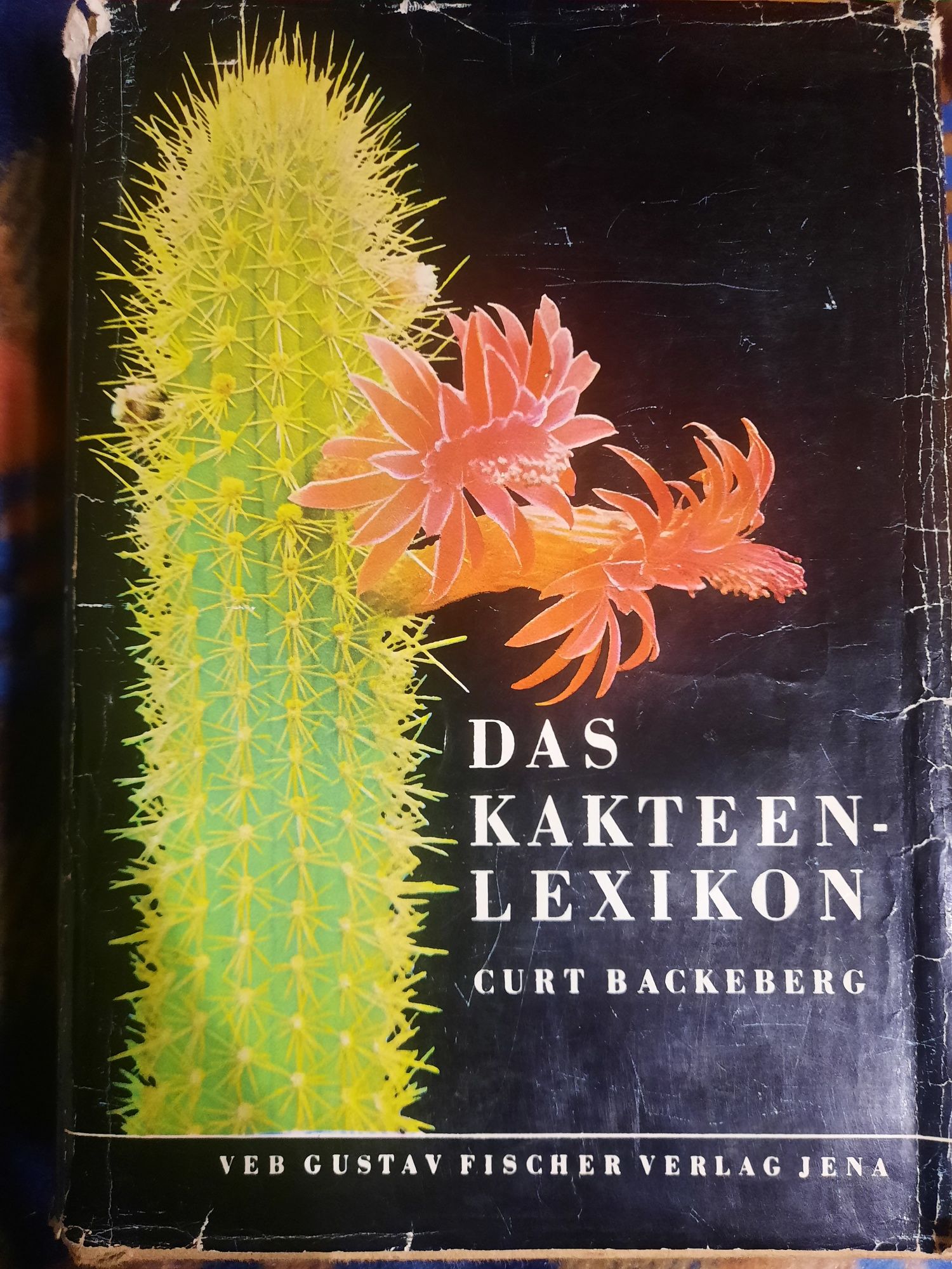 Das Kakteenlexikon, Curt Backeberg Энциклопедия кактусовода, кактусы