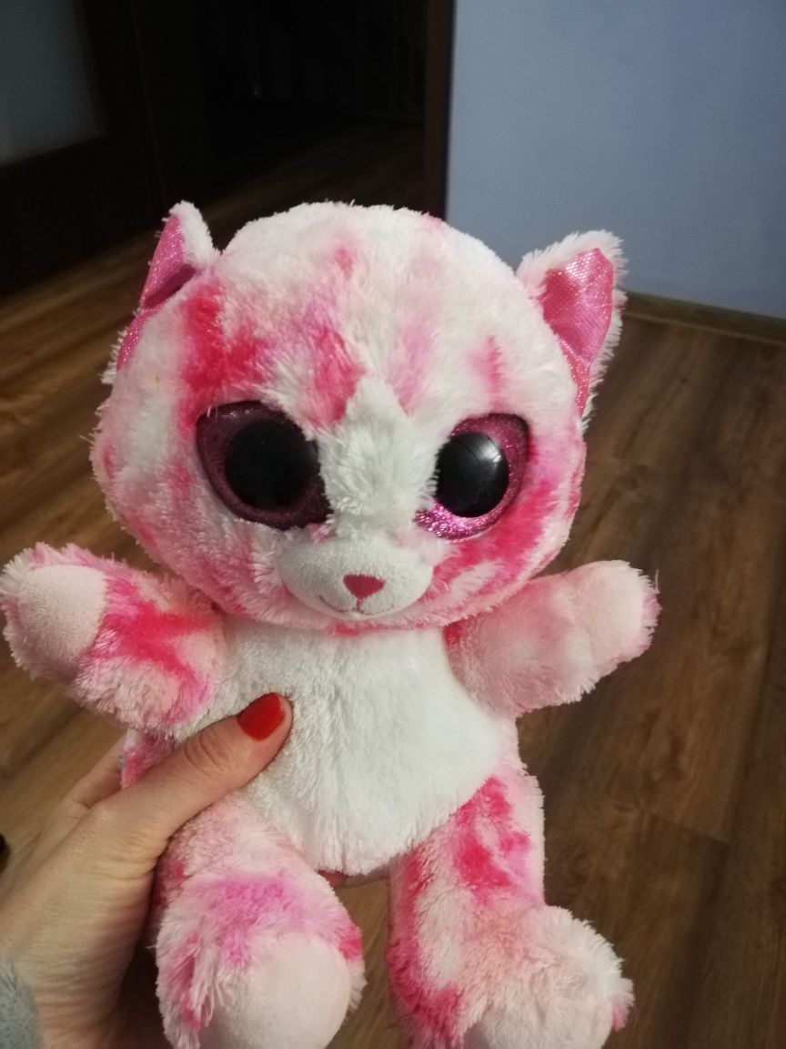 Nici szalony różowy kot  z duzymi oczami