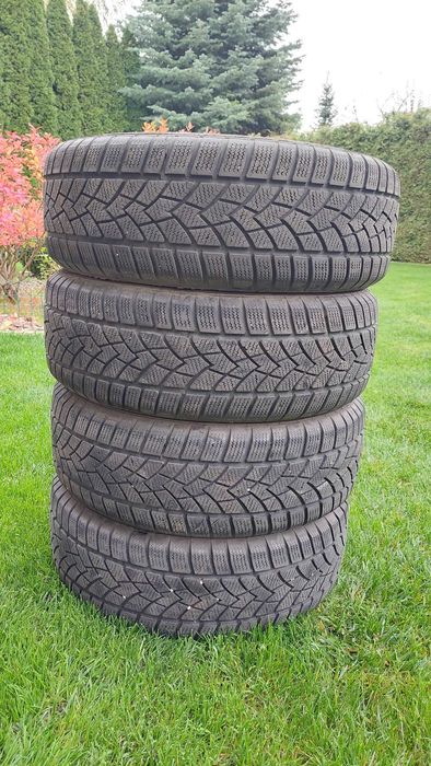 Opony zimowe EuroStone Sirius II 195/60 R15