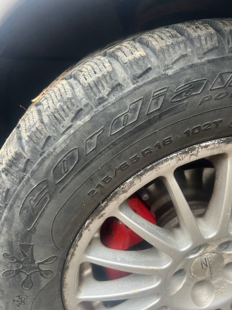 Шины 215/65r16 Gordiant