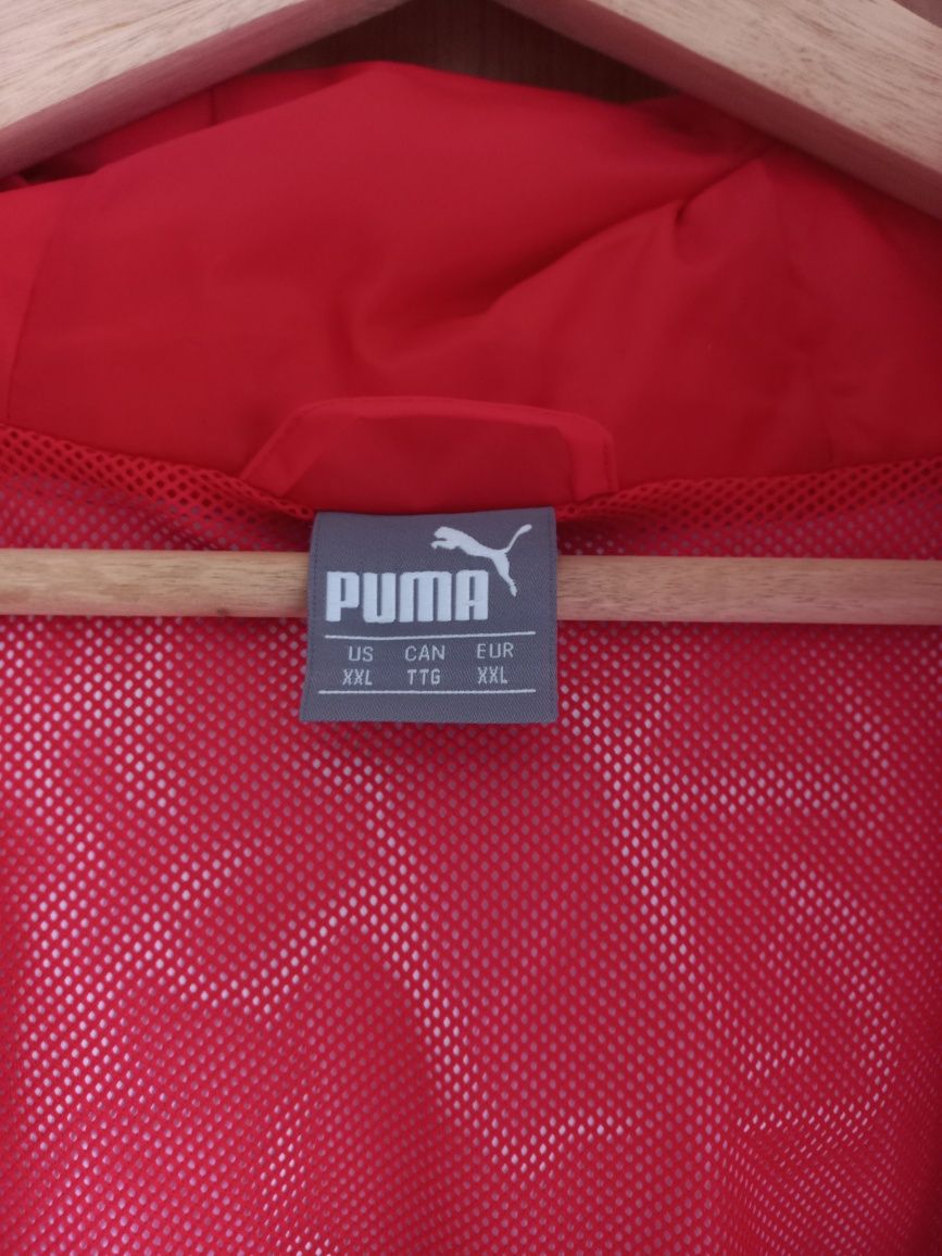 Casaco FERRARI - Puma