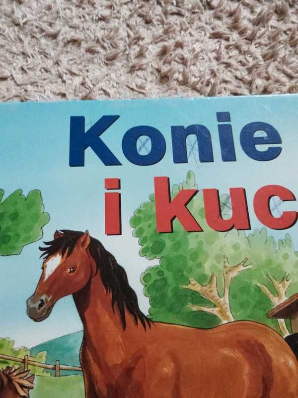 Konie i kuce ksiażeczka z okienkami