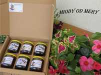 Zestaw Prezentowy Duży 6x250g - Degustacyjny Miód Spadziowy / od Mery
