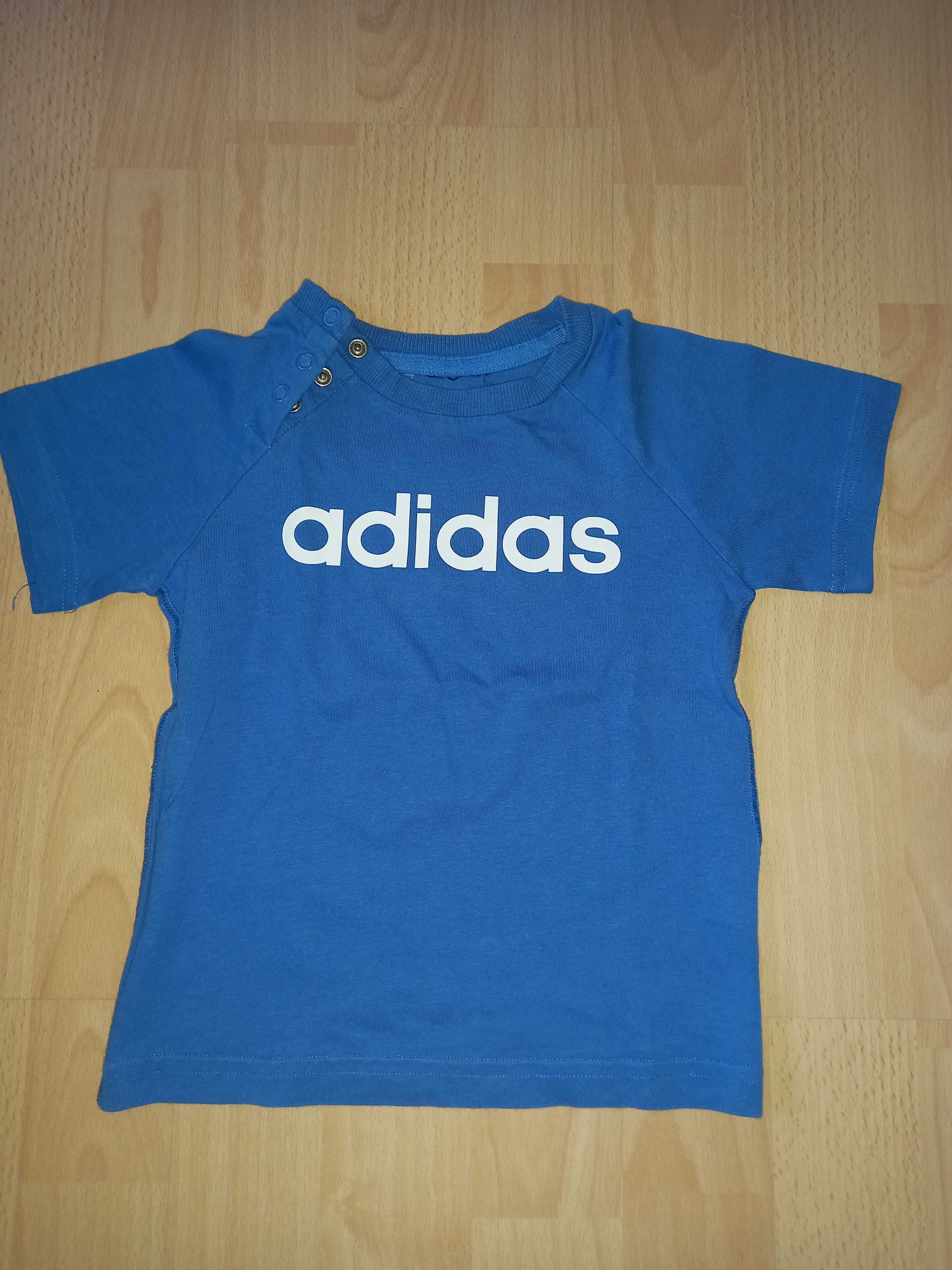 Adidas spodenki + t-shirt rozmiar 86 cm