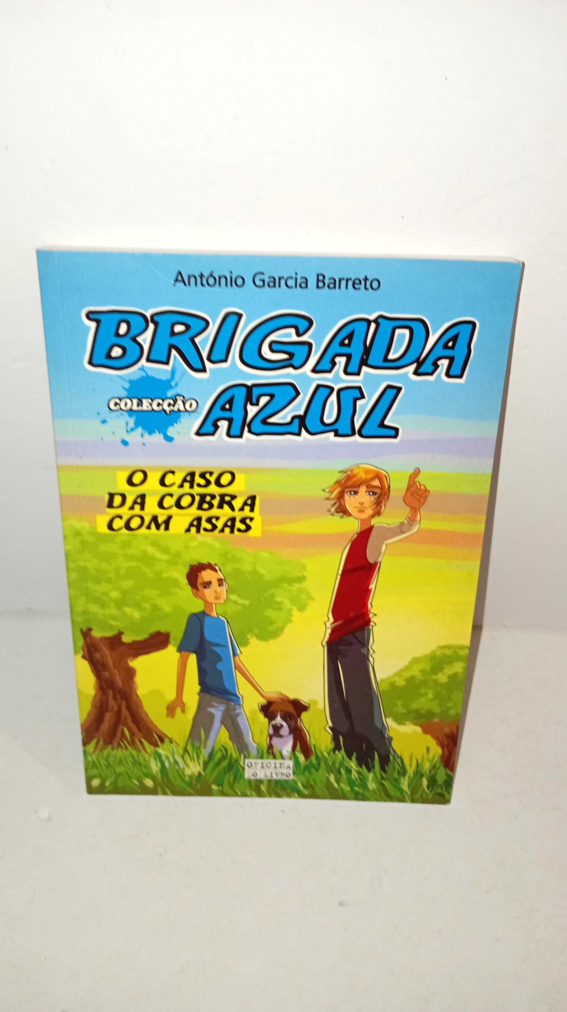 O Caso da Cobra com Asas - Brigada Azul