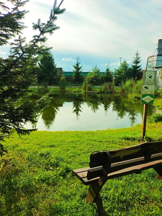 Noclegi dla firm,, Noclegi, Wąbrzeźno ,Radzyń chełmiński,Kowalewo