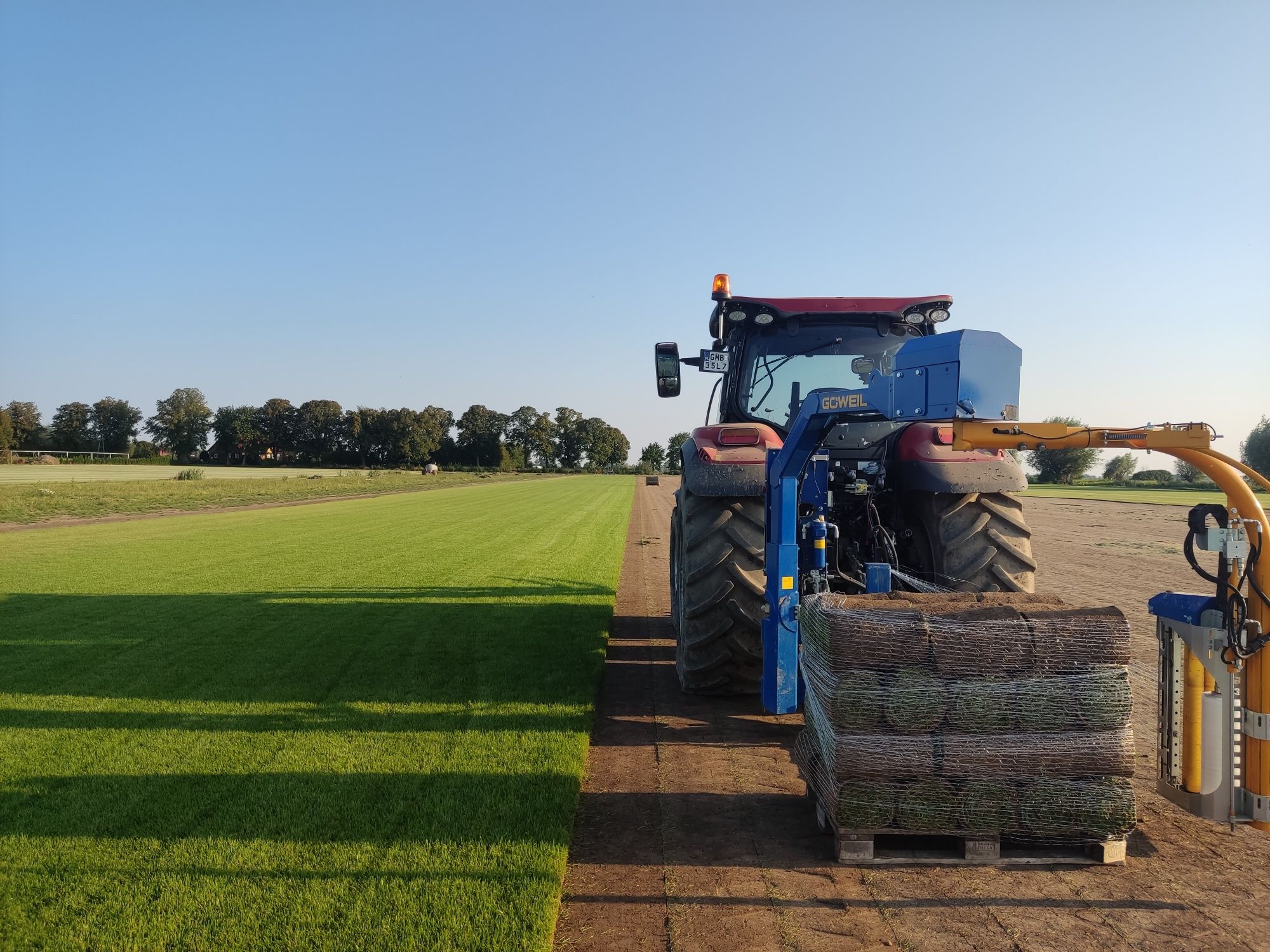 Trawa z rolki PREMIUM 40m2 z dostawa