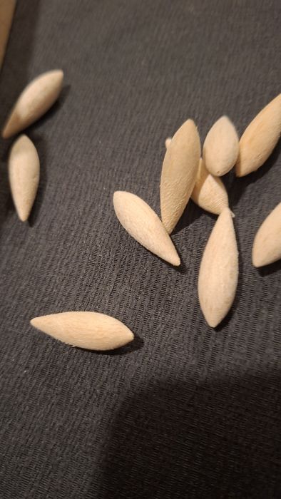 korpusy z balsy 50 szt