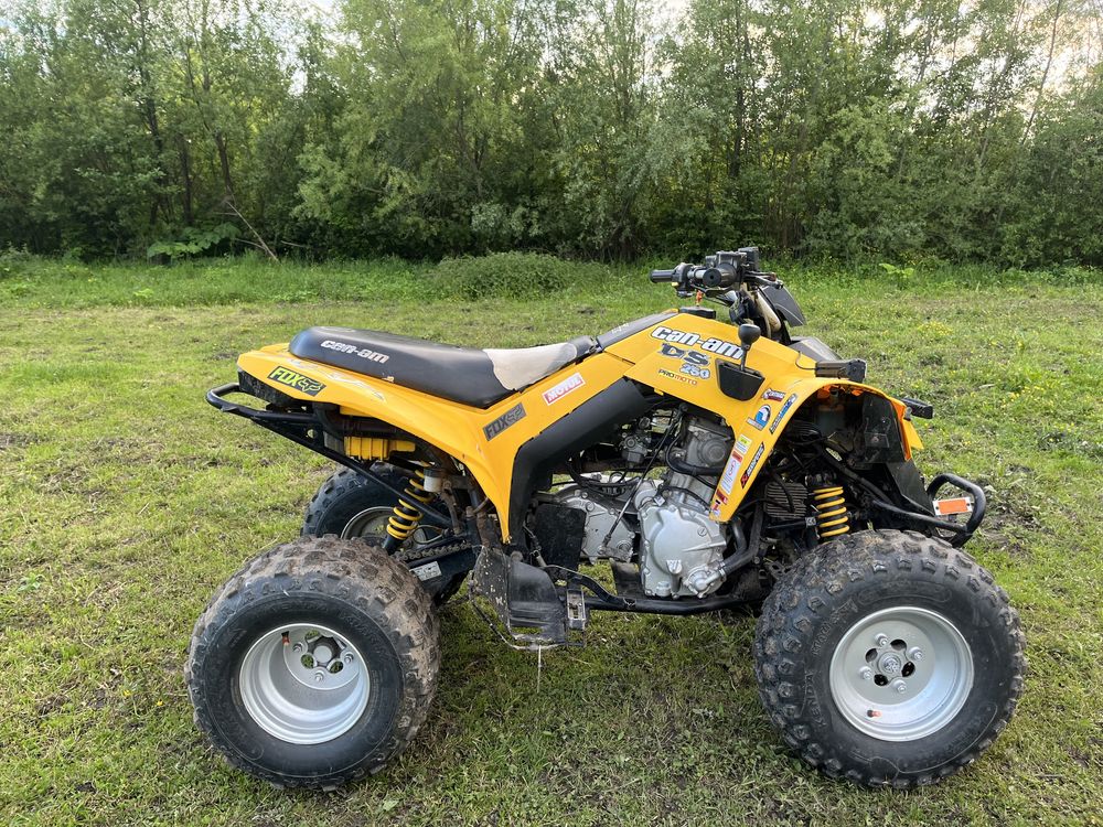 Квадроцикл BRP DS 250cc
