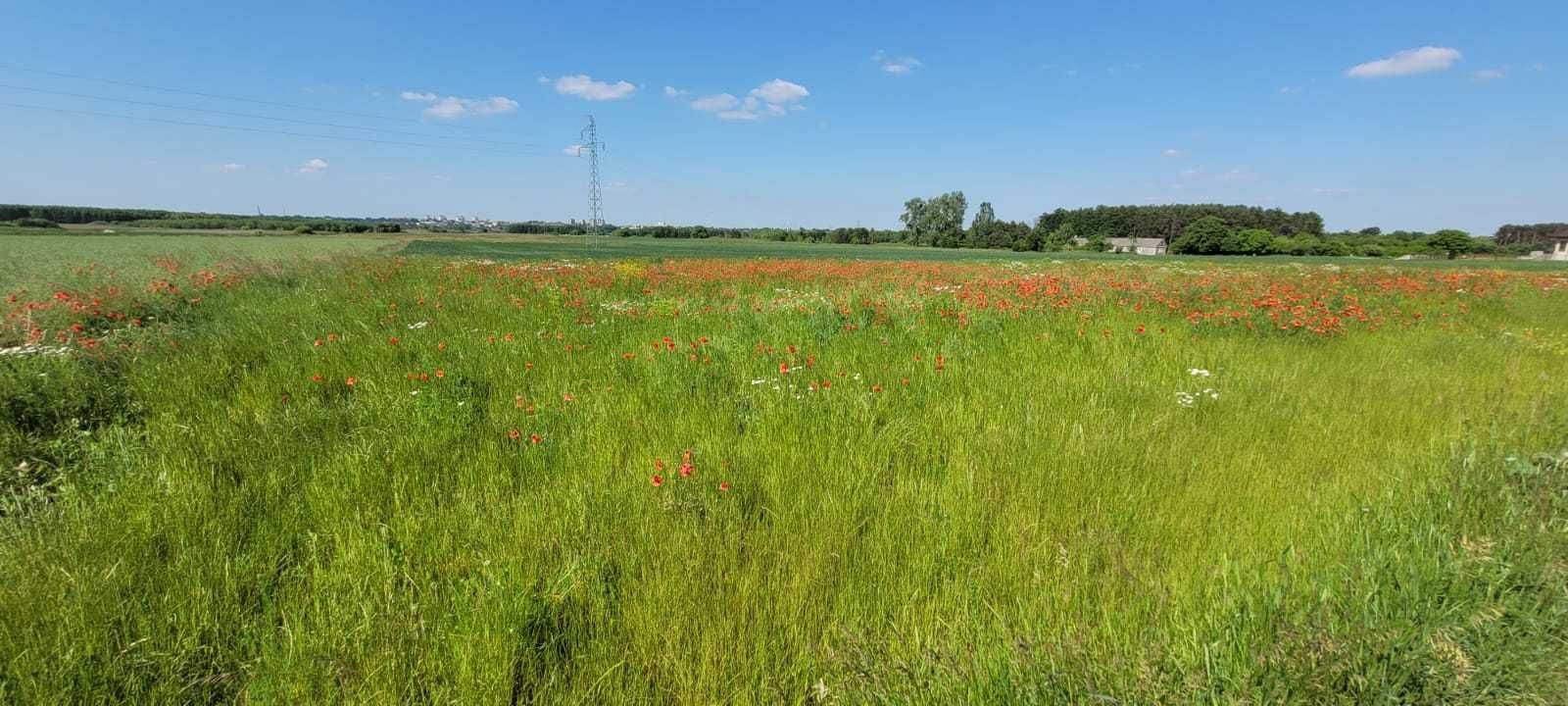 Działka widok na miasto w Pniówku 32x48(15,5ar)