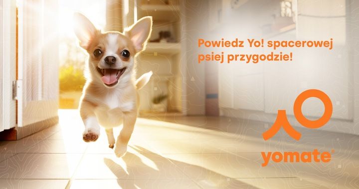 Mały Pies Do 12 Kg - Lekka Wygodna Smycz Automatyczna Dla Psa Zwijana