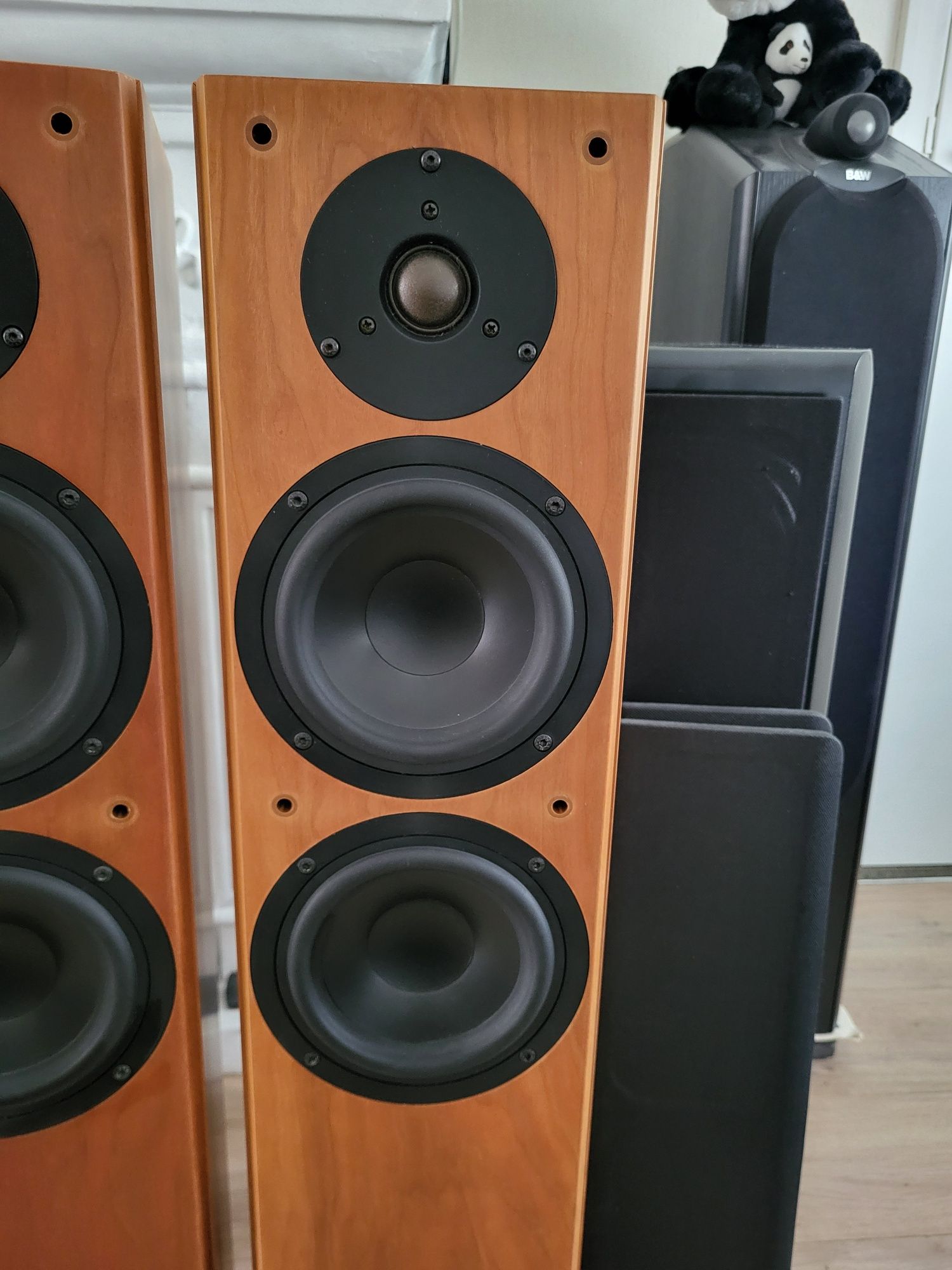 Tannoy R2 kolumny podłogowe
