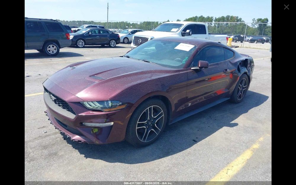 Ford Mustang 2.3 EcoBoost 289KM - w drodze do Polski