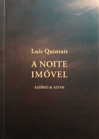 Livro - A Noite Imóvel - Luís Quintais