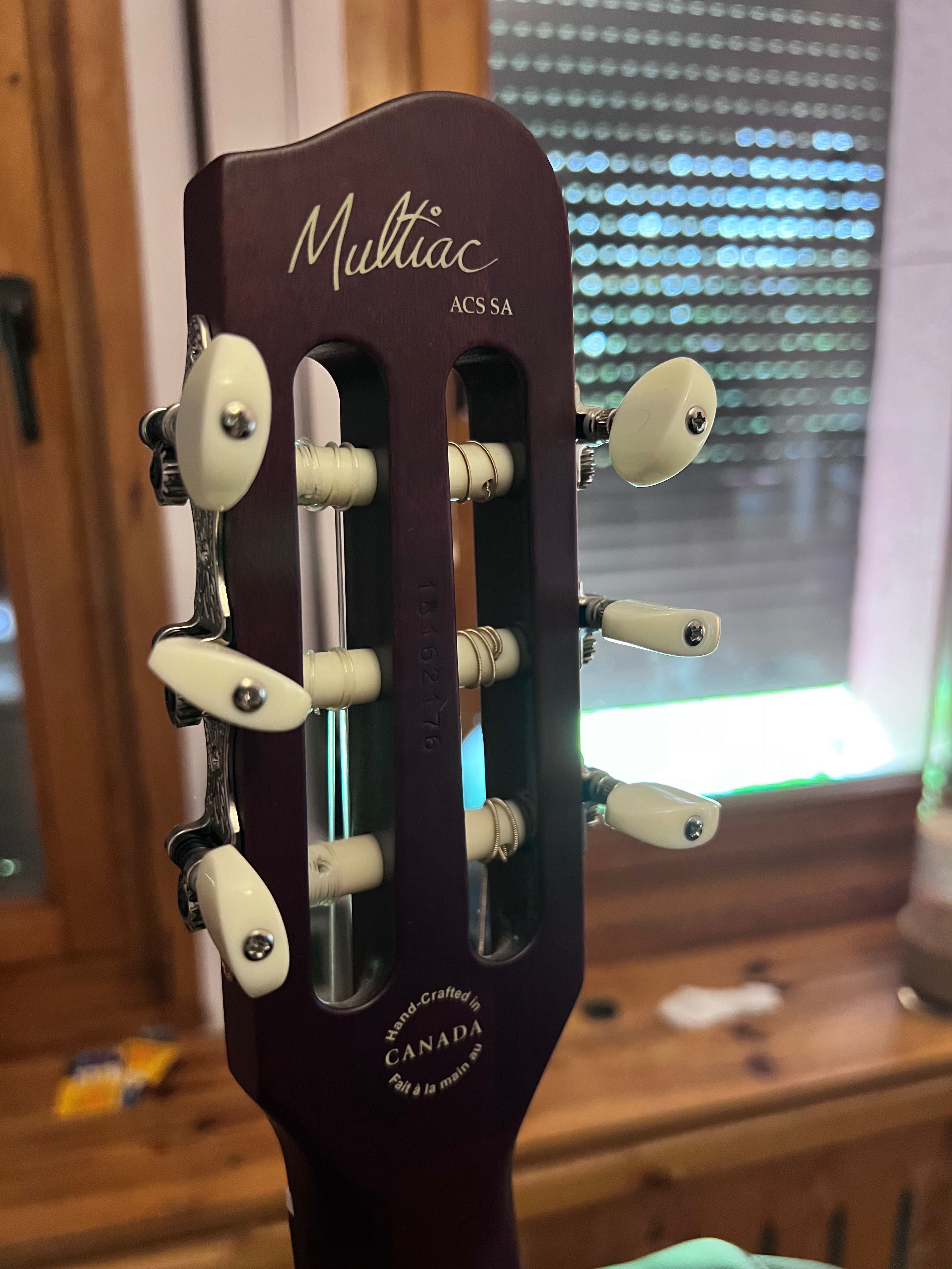 Godin Multiac Rosewood gitara ibanez fender gibson idealna