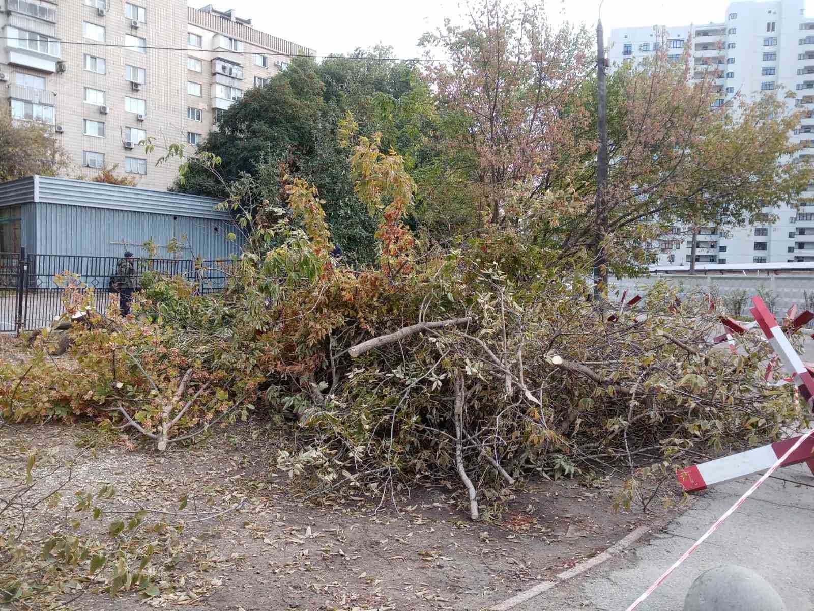 Вивіз сміття Вишневе Тарасівка Боярка Віта-почтова Кругляк Глеваха