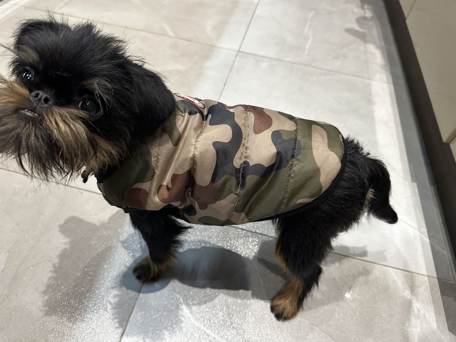 Płaszczyk ubranko kurtka