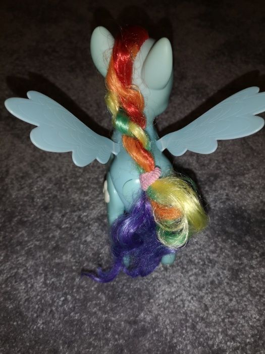 Konik pony Rainbow Dash