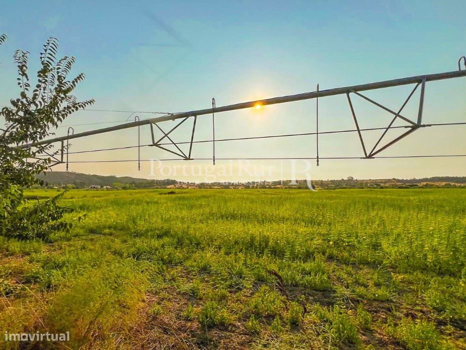 Herdade de regadio com 160 ha em Vila Velha de Ródão