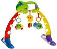 Fisher Price - Turtle and Friends Gym 2 in 1