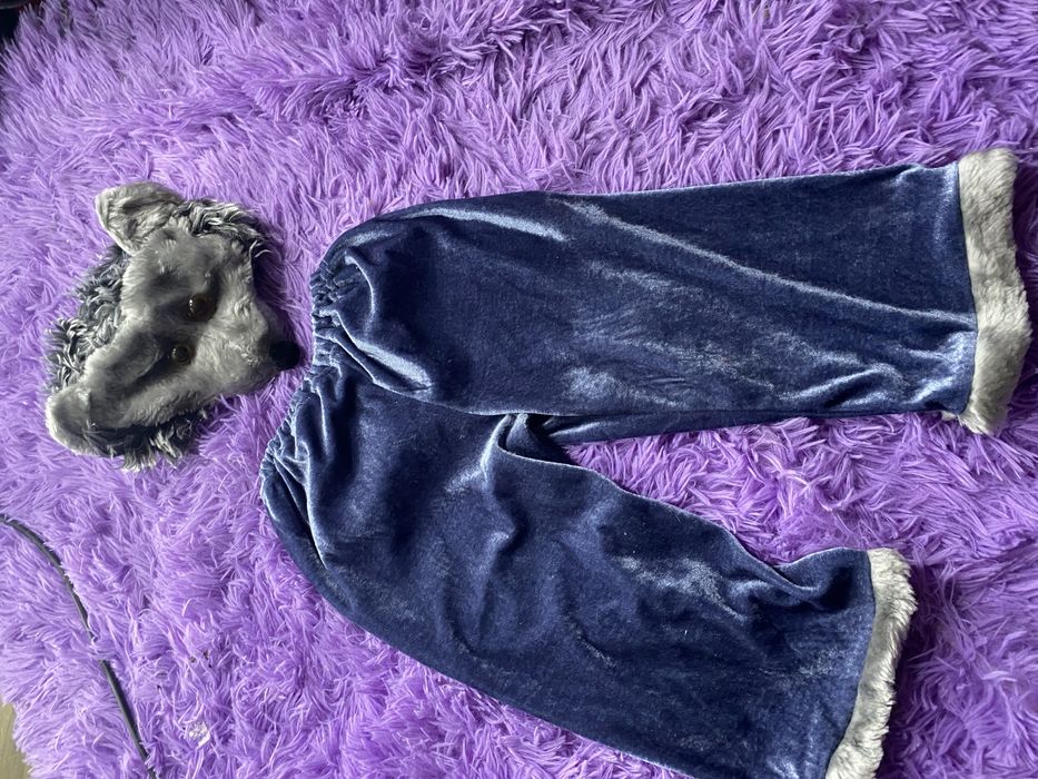 Костюм Їжак; костюм ежика