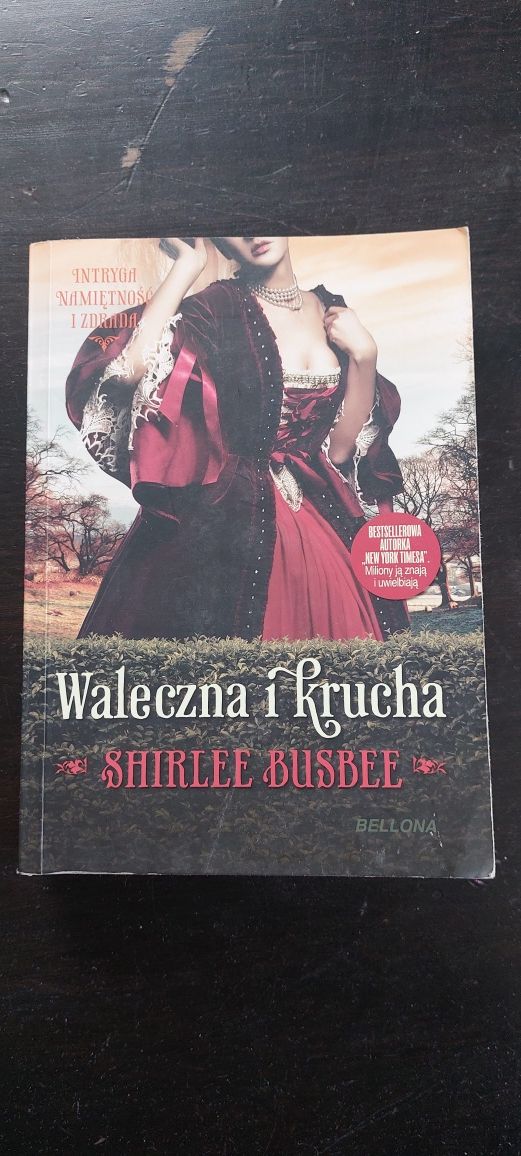 Waleczna i krucha Shirlee Busbee
