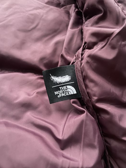The North Face 1996 Retro Nuptse 700 Down Jacket