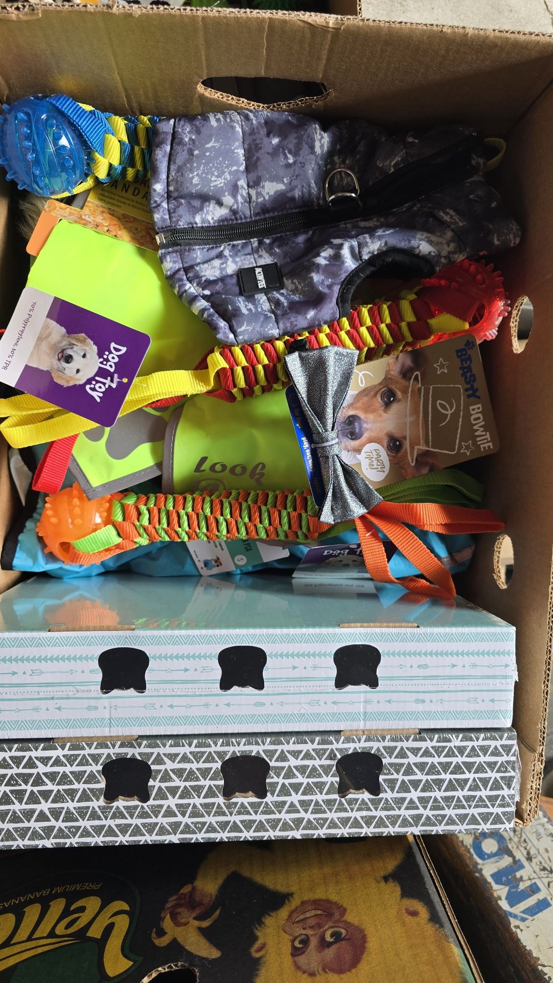Box zwierzak nowe artykuły dla zwierząt 33 szt.