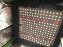 Лампа для вирощування Quantum Board 85 W на діодах Samsung LM281B+