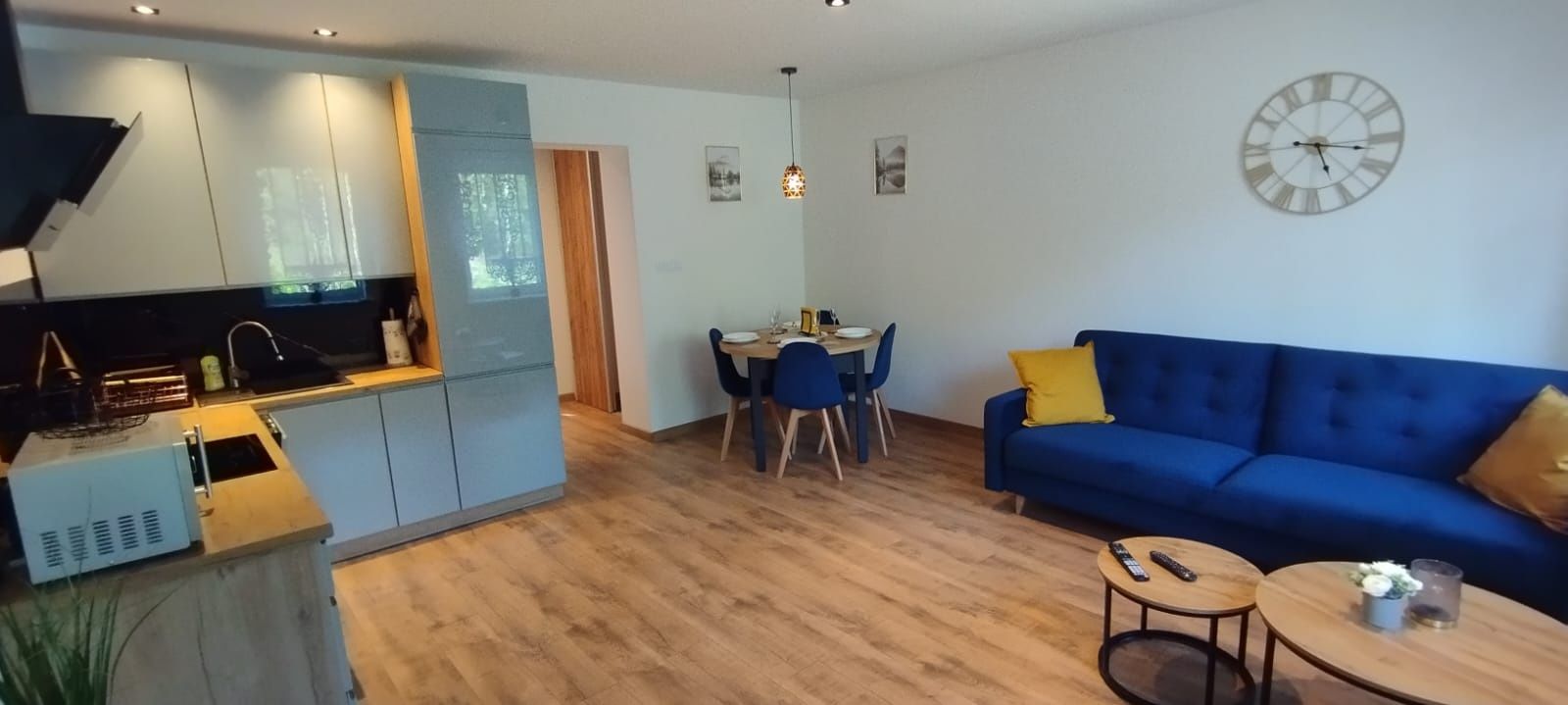 Góry Sowie Apartament Jedlina Zdrój