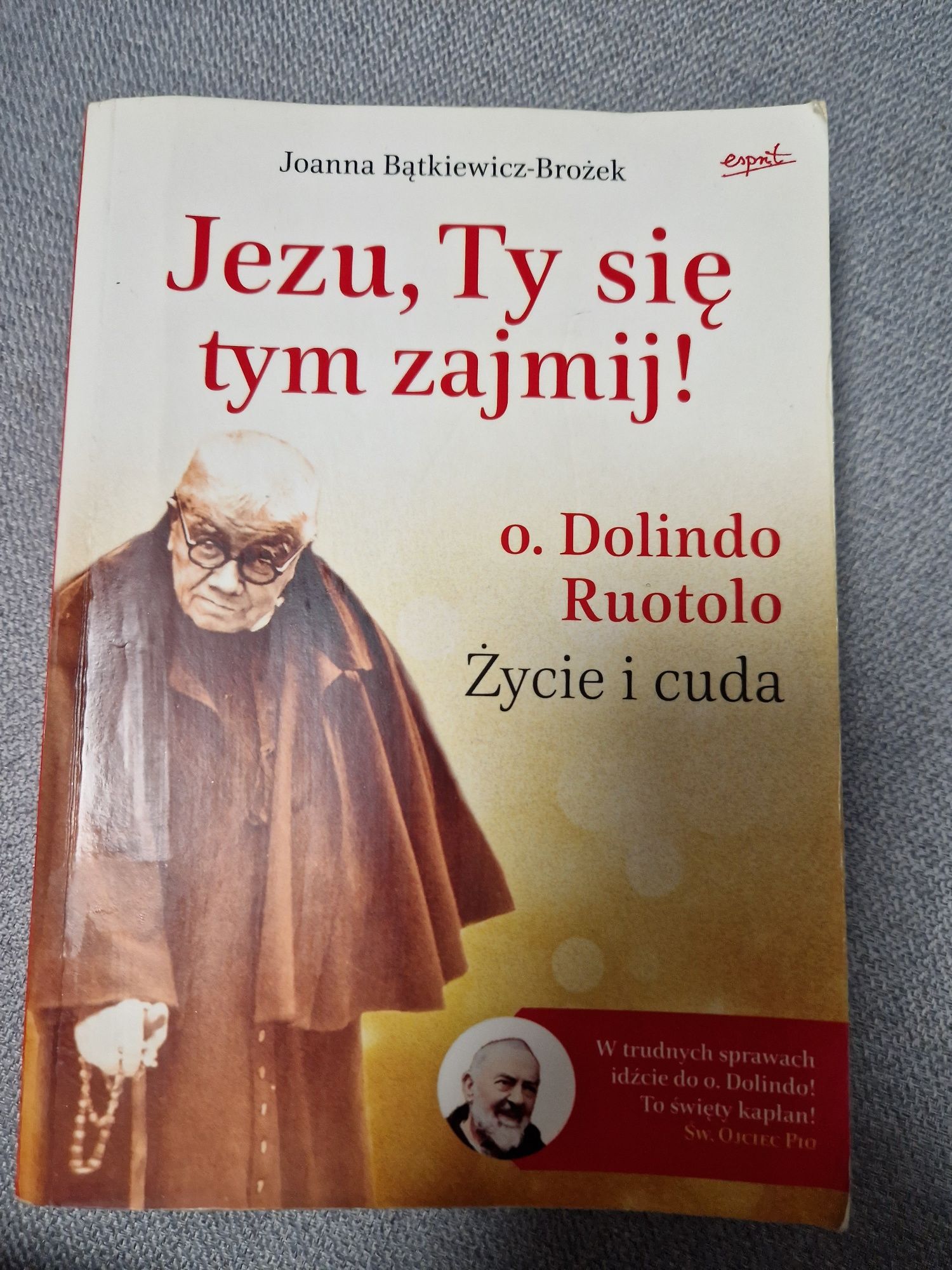 Jezu, Ty się tym zajmij! O. Dolindo Ruotolo. Życie i cuda